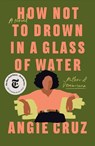 How Not to Drown in a Glass of Water - Angie Cruz - 9781250208460