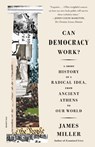 Can Democracy Work? - James Miller - 9781250234674