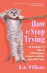 How to Stop Trying - Kate Williams - 9781250340900