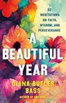 Beautiful Year - Diana Butler Bass - 9781250409881