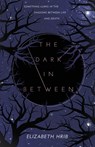 The Dark In-Between - Elizabeth Hrib - 9781250419880