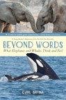Beyond Words: What Elephants and Whales Think and Feel (A Young Reader's Adaptation) - Carl Safina - 9781250763525