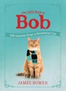 The Little Book of Bob - James Bowen - 9781250765949