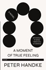 Moment of True Feeling - Peter Handke - 9781250767318