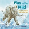 Play in the Wild - Lita Judge - 9781250796455