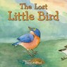 The Lost Little Bird - David McPhail - 9781250830364