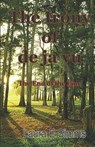 The Irony Of De Jà Vu - Laura E Simms - 9781301675401