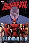 Daredevil: Shadowland Omnibus Cassaday Cover (New Printing) - Andy Diggle ; Antony Johnston ; Zeb Wells - 9781302957780