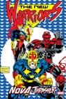 New Warriors: Nova & Night Thrasher Omnibus - Fabian Nicieza ; Dan Slott ; Kurt Busiek - 9781302964344