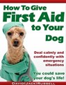How To Give First Aid To Your Dog - David "Jack" Russell - 9781310470387