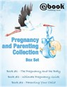 Pregnancy and Parenting Collection Box Set - myebook - 9781310572319