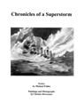 SANDY: Chronicles of a Superstorm - Michael Foldes - 9781310733321