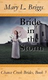 Bride in the Storm (Chance Creek Brides Book 3) - Mary L. Briggs - 9781311494597