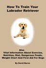 How To Train Your Labrador Retriever - David Burns - 9781311826473