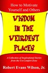 Wisdom in the Weirdest Places - Robert Evans Wilson - 9781311844385
