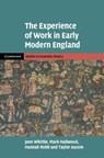 The Experience of Work in Early Modern England - Jane (University of Exeter) Whittle ; Mark (University of Bristol) Hailwood ; Hannah (Birkbeck Robb ; Taylor (University of Edinburgh) Aucoin - 9781316519943