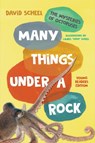 Many Things Under a Rock Young Readers Edition - David Scheel - 9781324019992