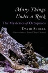 Many Things Under a Rock: The Mysteries of Octopuses - David Scheel - 9781324020691