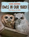 Owls in Our Yard! - Carl Safina - 9781324053194