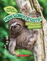 How Slow Is a Sloth?: Measure the Rainforest (Nature Numbers) - Jill Esbaum - 9781338765212
