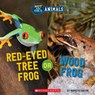 Red-Eyed Tree Frog or Wood Frog (Wild World: Hot and Cold Animals) - Marilyn Easton - 9781338799484