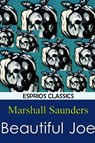 Beautiful Joe - SAUNDERS,  Marshall - 9781366078339