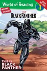 World Of Reading: Black Panther - Andy Schmidt - 9781368008532