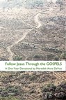 Follow Jesus Through the Gospels: A One-Year Devotional - Meredith Anne DeVoe - 9781370230082