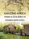 Amazing Africa, Where Is Your Spirit Of Common Good Gone, - Pierre Jules Zing Tsala - 9781370321650