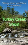 Turkey Creek Ghost - Anthony Stevens - 9781370396986