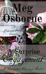 A Surprise Engagement - Meg Osborne - 9781386252092