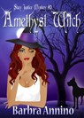 Amethyst Witch - Barbra Annino - 9781386424567