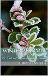 Winter's Promise - Petra Belmonte - 9781386563082