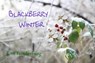 Blackberry Winter - Tom Funderburg - 9781393115908