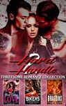 2 Hard 2 Handle : Threesome Romance Collection - Sandra Cole ; Terri Lane ; Cara Wade - 9781393228806