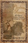 Priceless Stones - James Revoir - 9781393235286