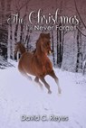 The Christmas I'll Never Forget - David C. Reyes - 9781393806295