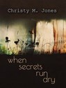When Secrets Run Dry - Christy M. Jones - 9781393873464