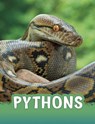 Pythons - Martha E. H. Rustad - 9781398202474