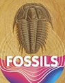 Fossils - Keli Sipperley - 9781398204089
