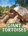 Giant Tortoises - Jaclyn Jaycox - 9781398213104
