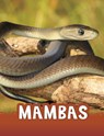 Mambas - Jaclyn Jaycox - 9781398213166
