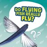 Do Flying Fish Really Fly? - Ellen Labrecque - 9781398215658