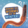 Where Do Worms Go in Winter? - Ellen Labrecque - 9781398215689