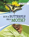 Is It a Butterfly or a Moth? - Susan B. Katz - 9781398225558