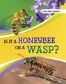 Is It a Honeybee or a Wasp? - Susan B. Katz - 9781398225671