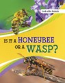 Is It a Honeybee or a Wasp? - Susan B. Katz - 9781398225688