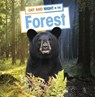 Day and Night in the Forest - Ellen Labrecque - 9781398241800