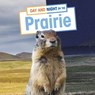 Day and Night on the Prairie - LABRECQUE,  Ellen - 9781398241923