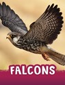 Falcons - Jaclyn Jaycox - 9781398243965